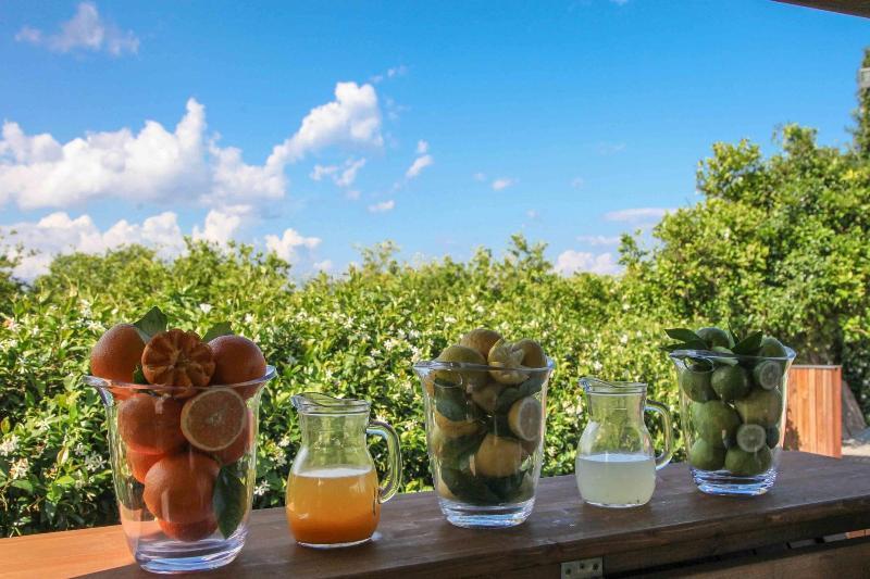 Agriturismo Galea ريبوسْتو المظهر الخارجي الصورة