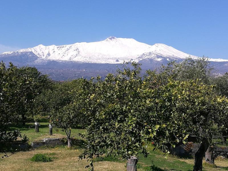Agriturismo Galea ريبوسْتو المظهر الخارجي الصورة